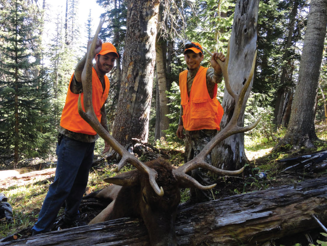 guided elk hunts - colorado semi guided guided elk hunts - colorado semi guided