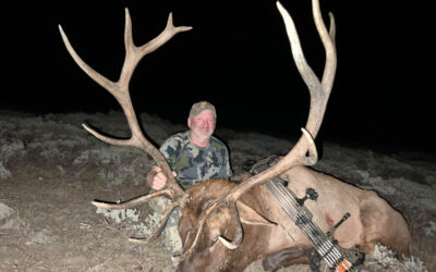 Guided Elk Hunts