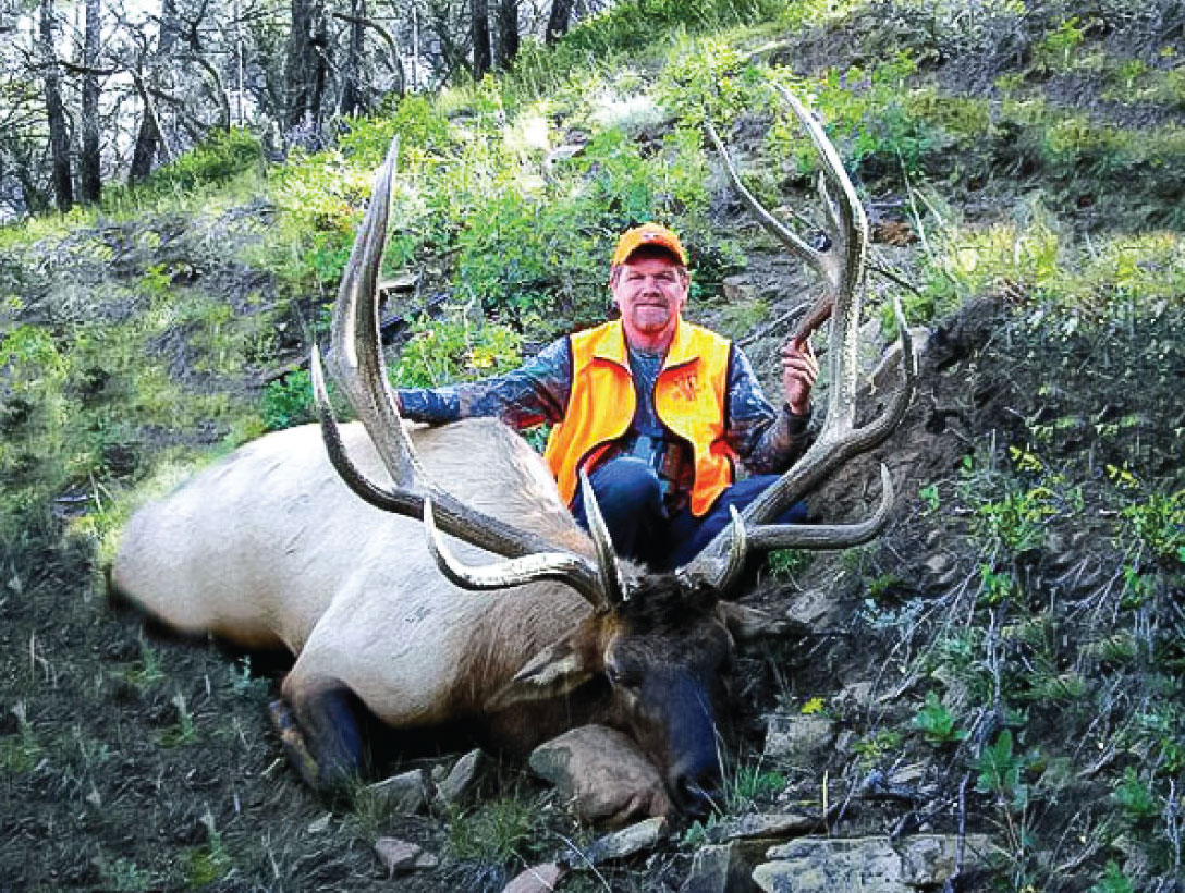 utah guided elk hunts utah guided elk hunts